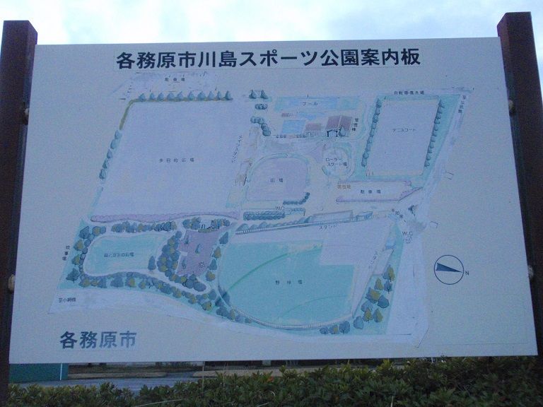 イメージ 16