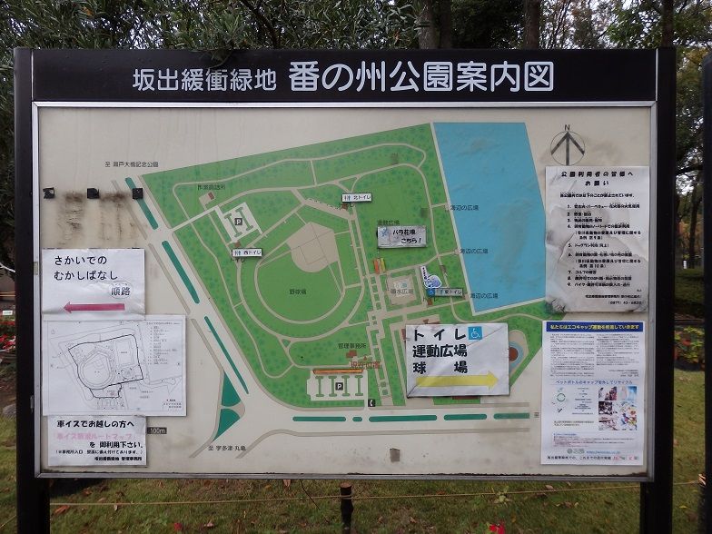 イメージ 19