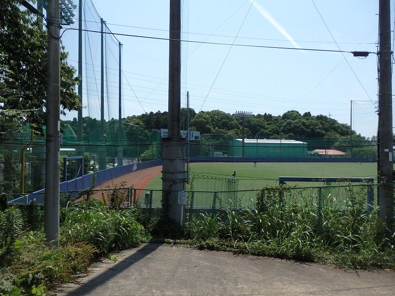イメージ 14