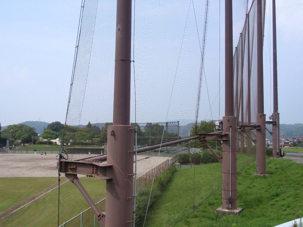 イメージ 5