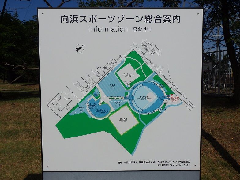 イメージ 21