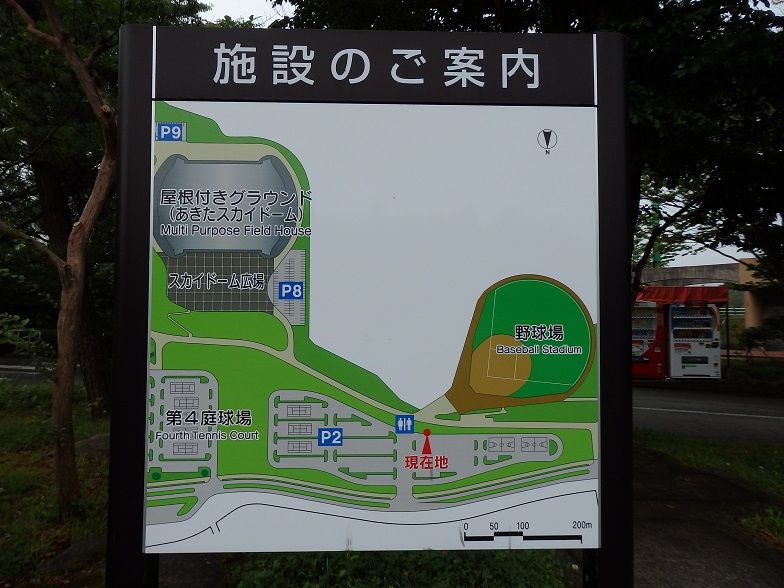 イメージ 17