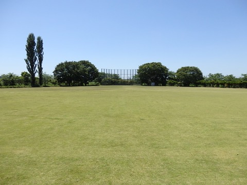 P5305514