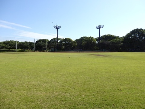 P5305755
