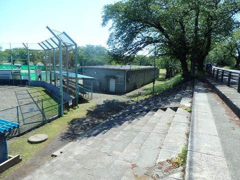 P5020873