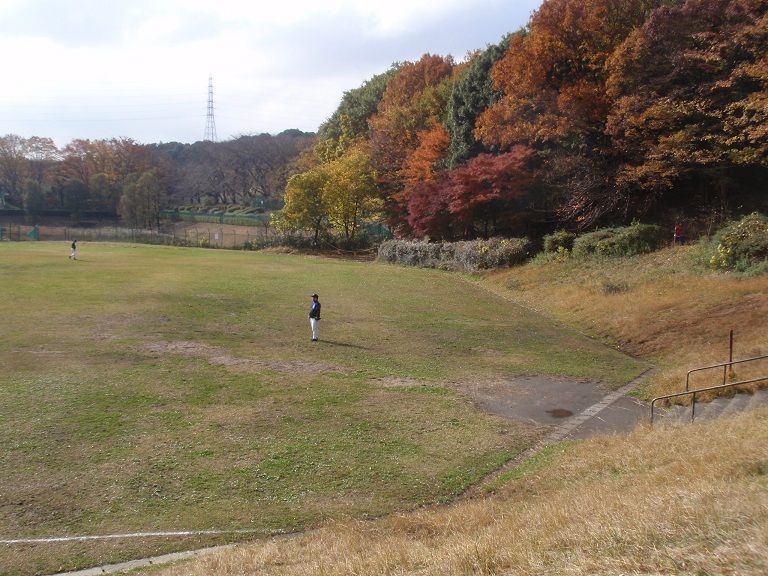 イメージ 19