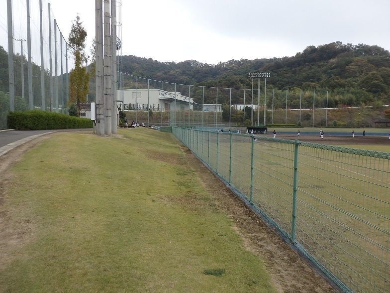 イメージ 10