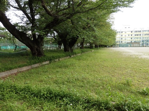 P5063204
