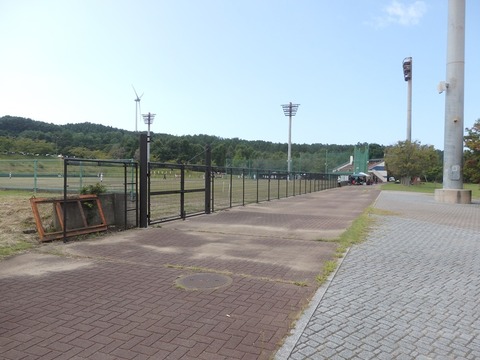 P9052174