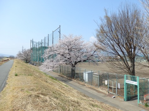 P3295550