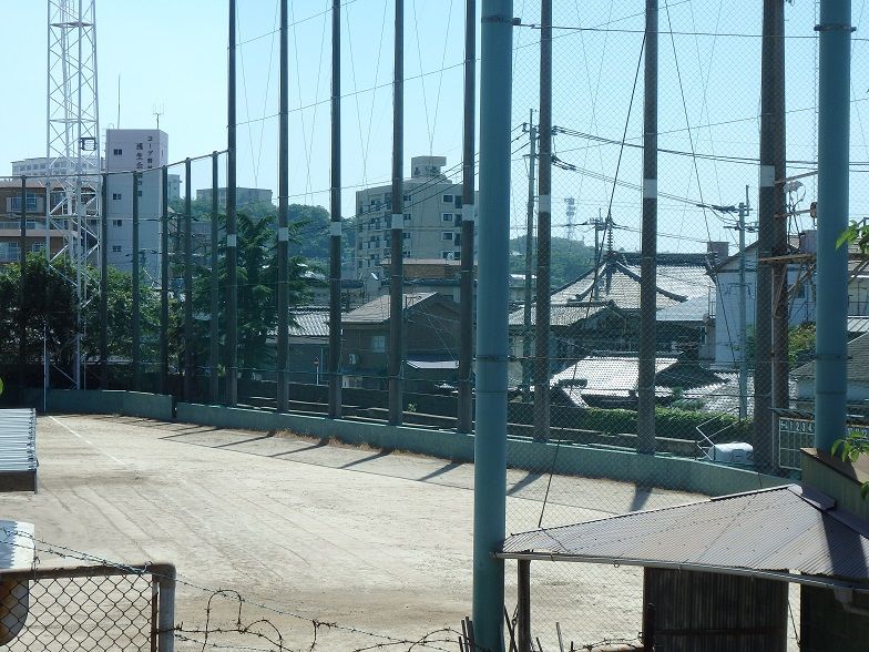 イメージ 7