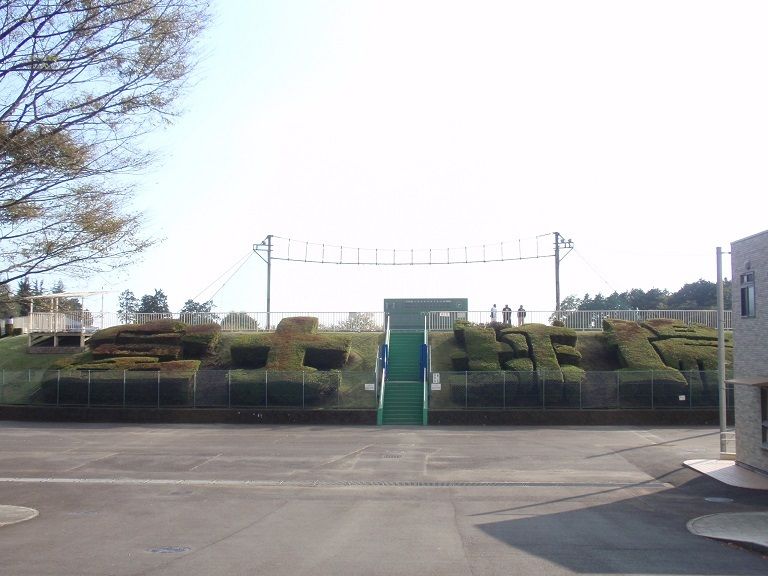 イメージ 18