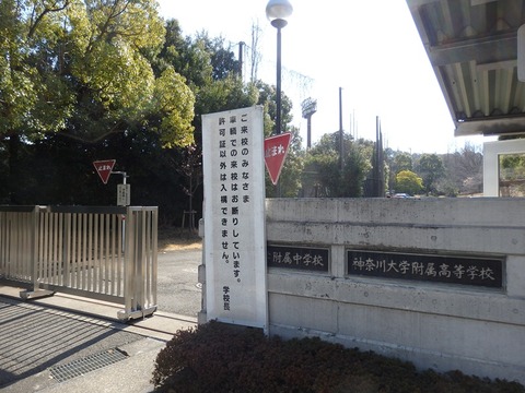 P2233299