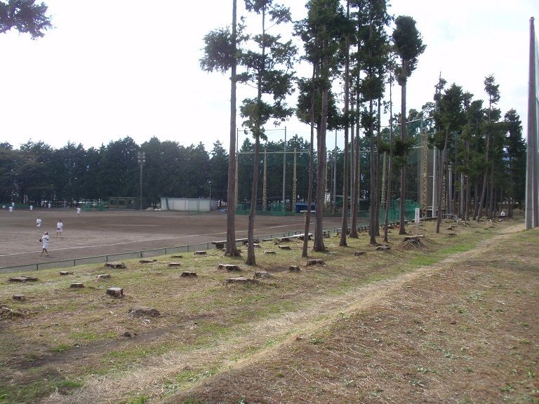 県立富士宮北高等学校グラウンド 野球場巡り