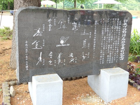 P5245316