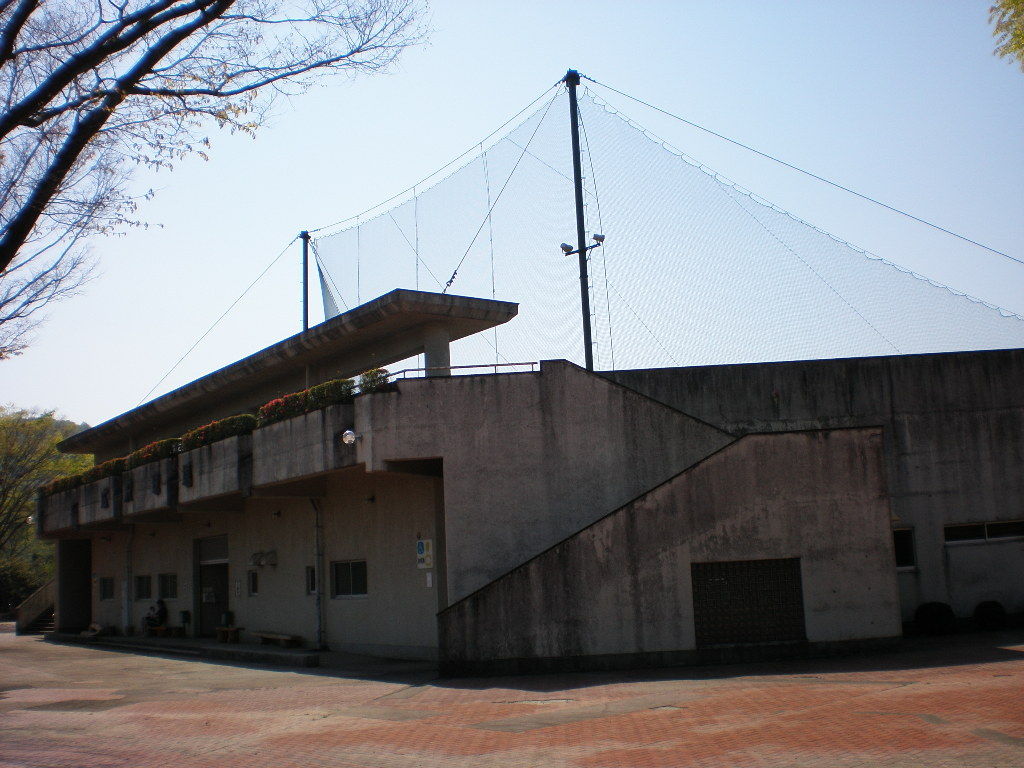 イメージ 8