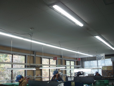 P1010081