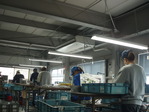 P1010078