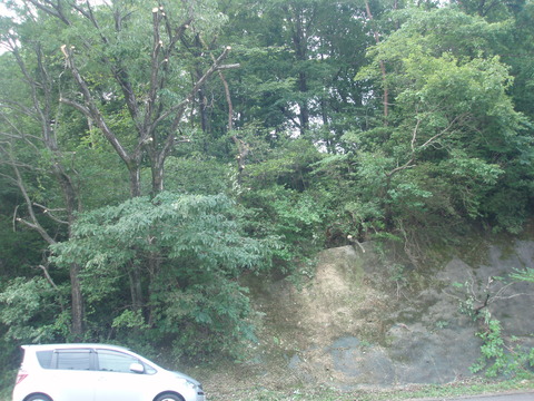 P1010225