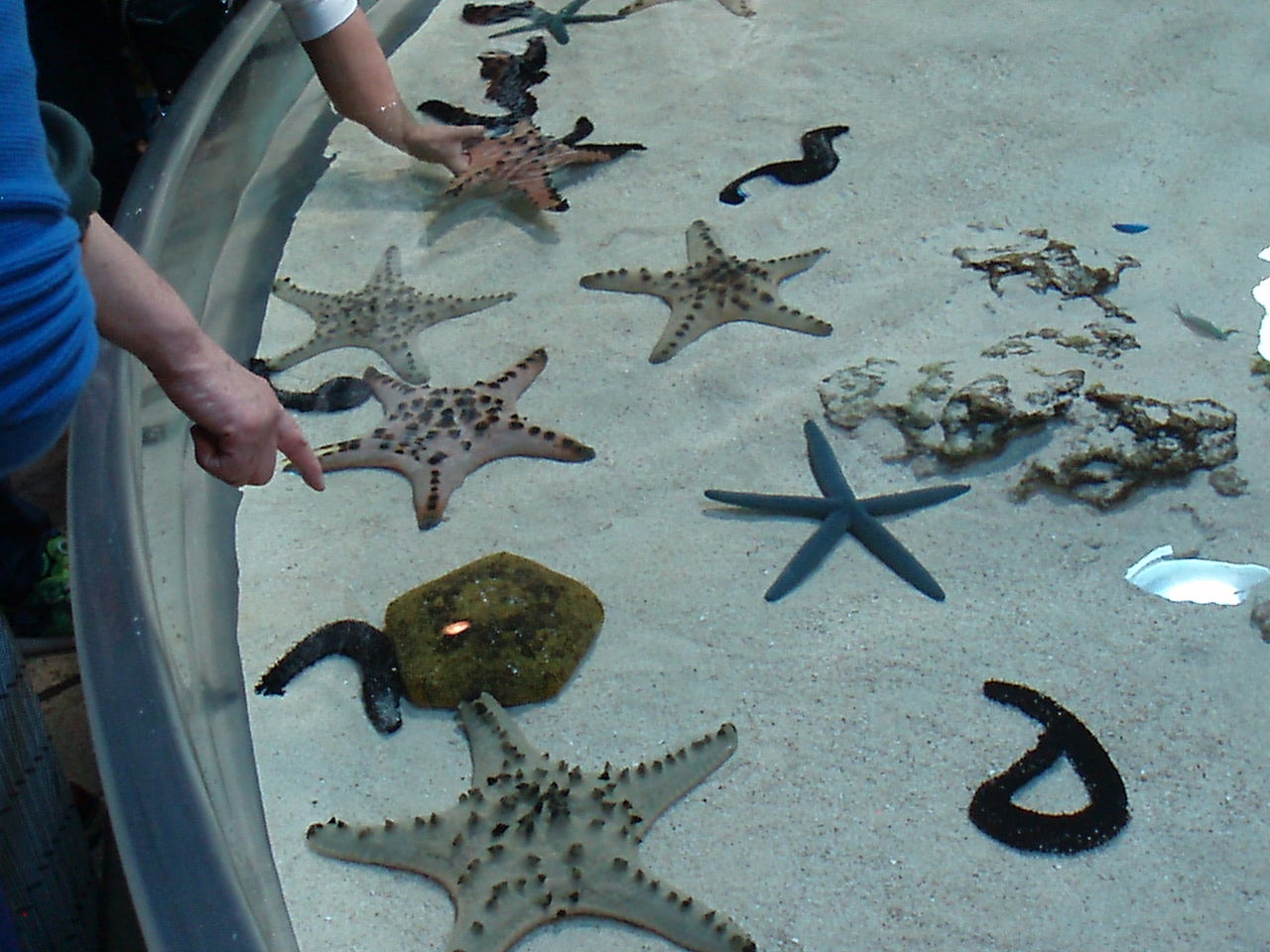 美ら海水族館 桜井ダイカスト工業 小ロット 試作 精密加工 美ら海水族館 桜井ダイカスト工業 小ロット 試作 精密加工