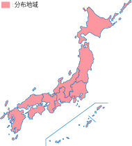 なんj民 スズメバチは世界最強 日本の誇り 閲覧注意 灰色ちゃんねる