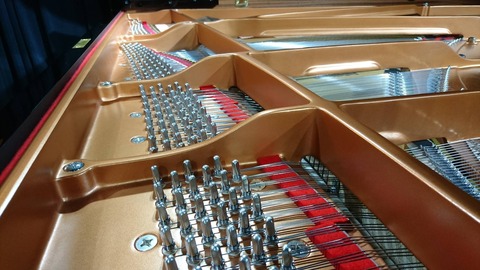 17760925_1351595841585824_4043978139714692529_o