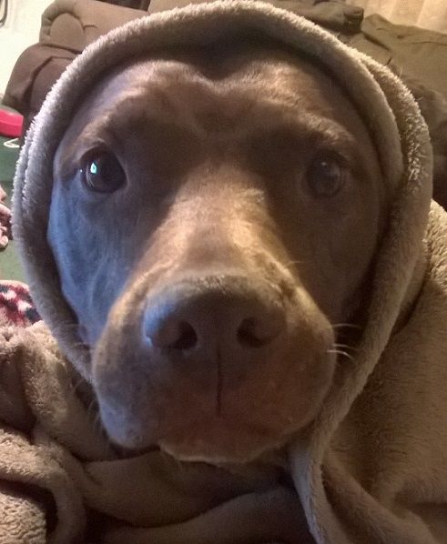 WP_20150407_21_00_23_Pro