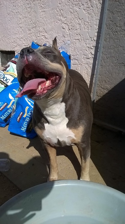 WP_20150409_16_05_52_Pro