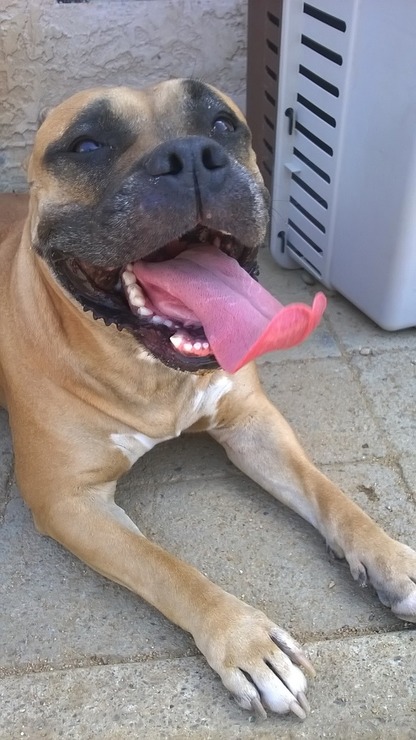 WP_20150404_12_52_51_Pro