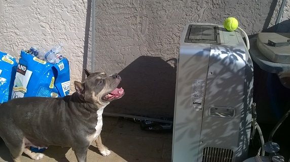 WP_20150409_16_05_06_Pro