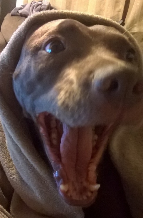 WP_20150407_20_59_57_Pro