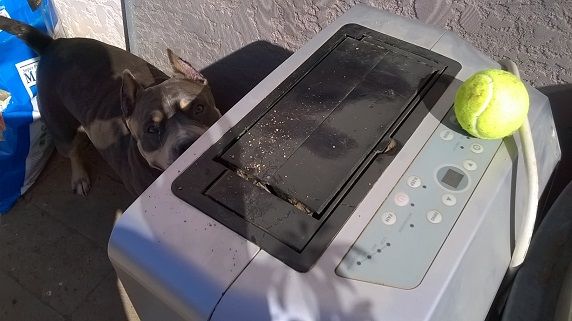 WP_20150409_16_05_29_Pro