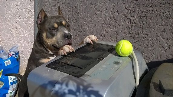 WP_20150409_16_05_12_Pro