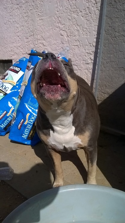 WP_20150409_16_05_54_Pro