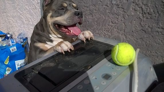 WP_20150409_16_05_41_Pro