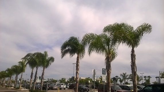 WP_20150404_14_37_53_Pro