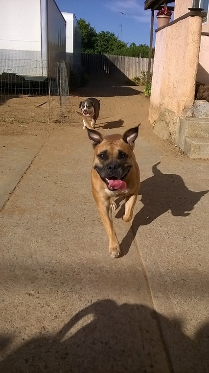 WP_20150407_16_57_07_Pro