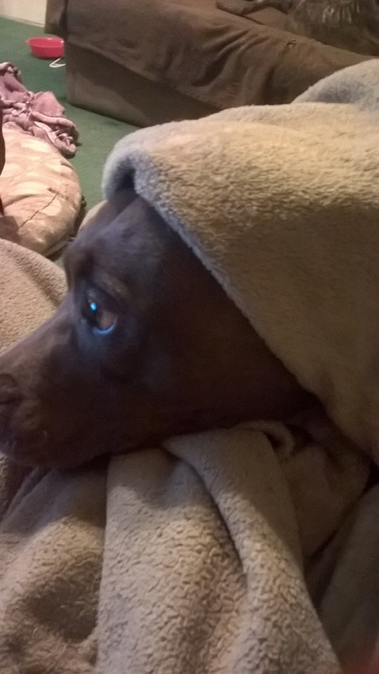 WP_20150407_21_00_10_Pro