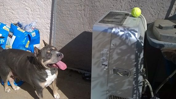 WP_20150409_16_05_03_Pro