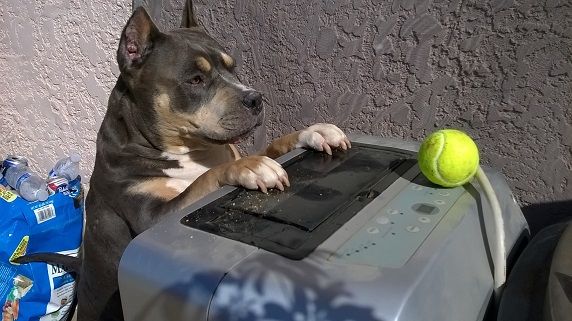 WP_20150409_16_05_14_Pro