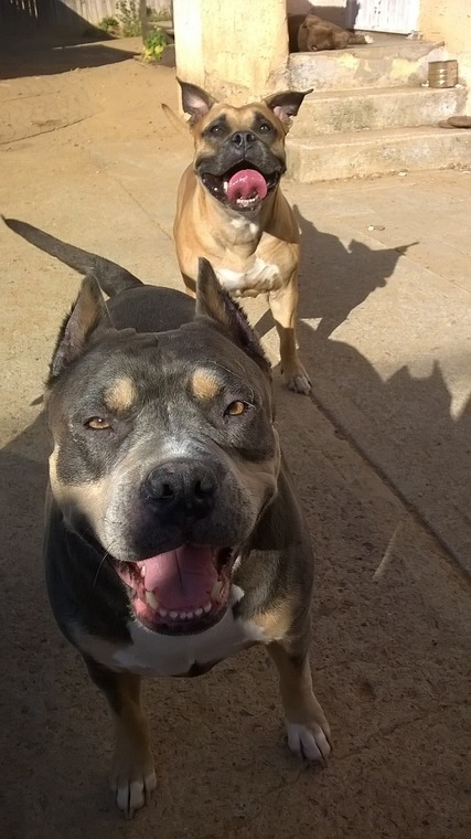 WP_20150407_16_57_52_Pro