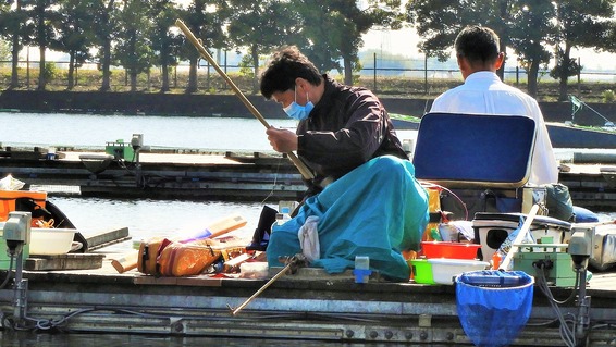 各種の大会 へら鮒つり 冷や水釣行 各種の大会 へら鮒つり 冷や水釣行