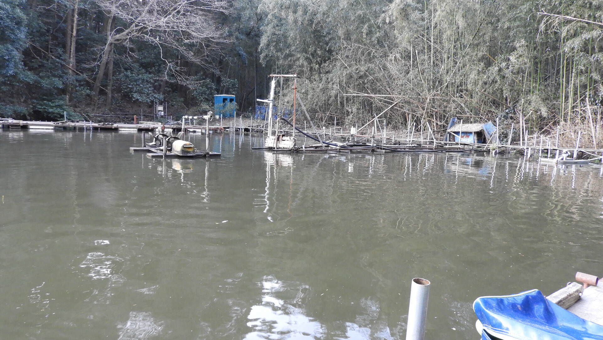 ２０２０ M 1 Cup 清遊湖 へら鮒つり 冷や水釣行