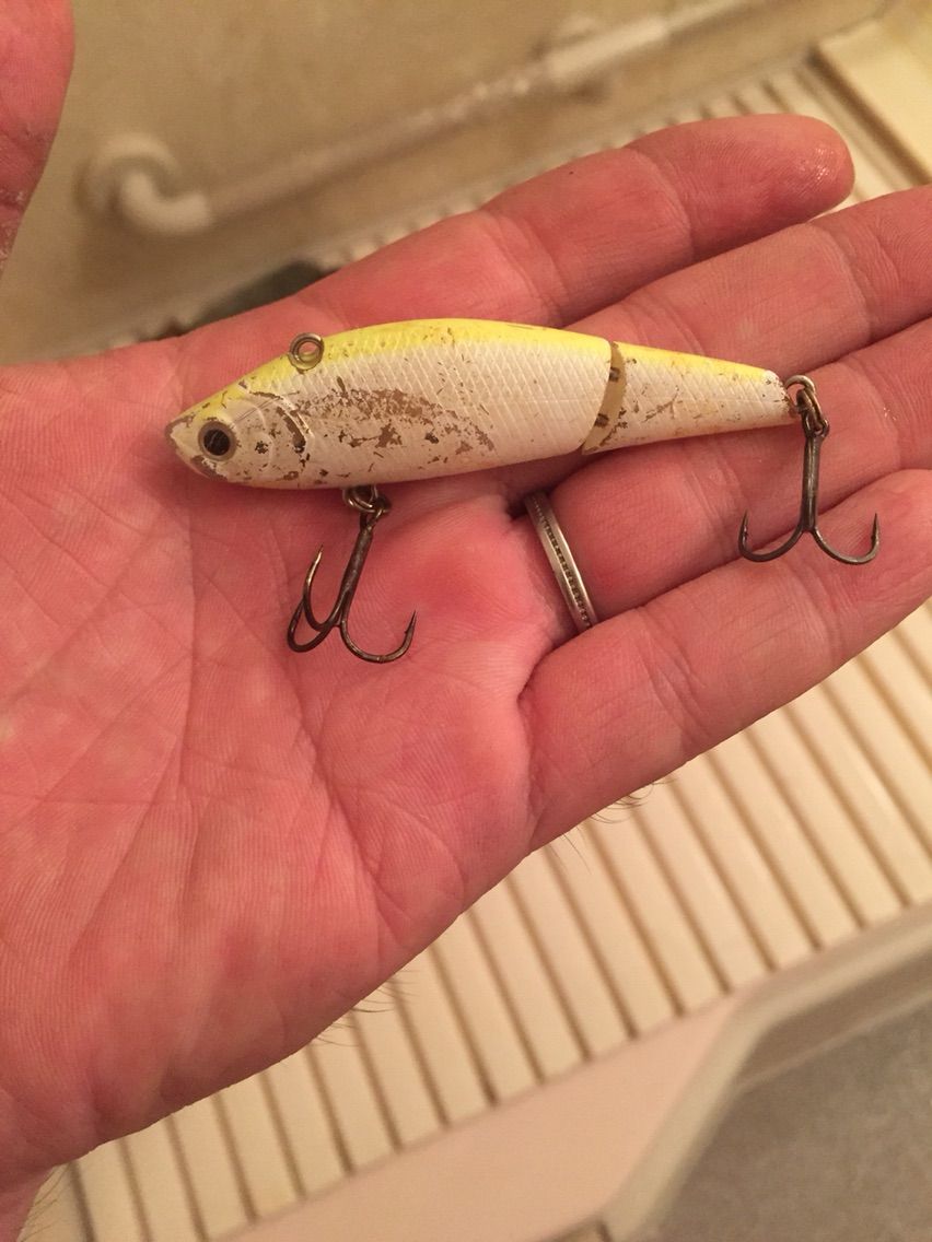 釣れ過ぎ注意 壁打ちルアー 東京湾seabass Biker 釣れ過ぎ注意 壁打ちルアー 東京湾seabass Biker