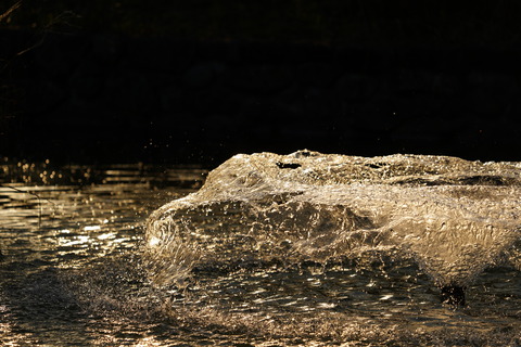 DSC087910001