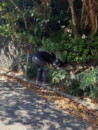 IMG_4201