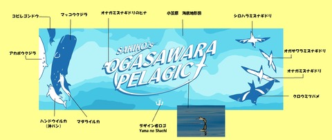 ひんやりタオル解説