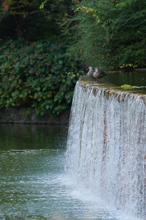 DSC087070001