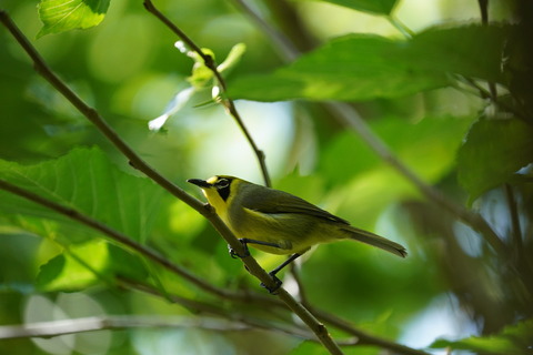 DSC003670002