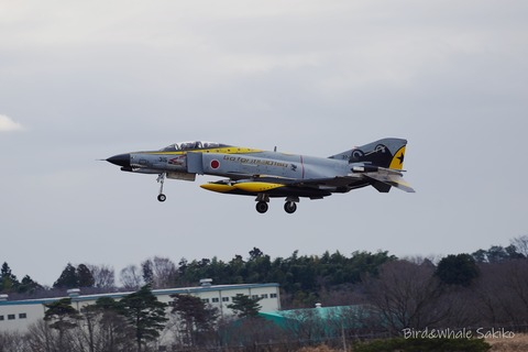F-4ファントム特別塗装３１５DSC08422 (1)